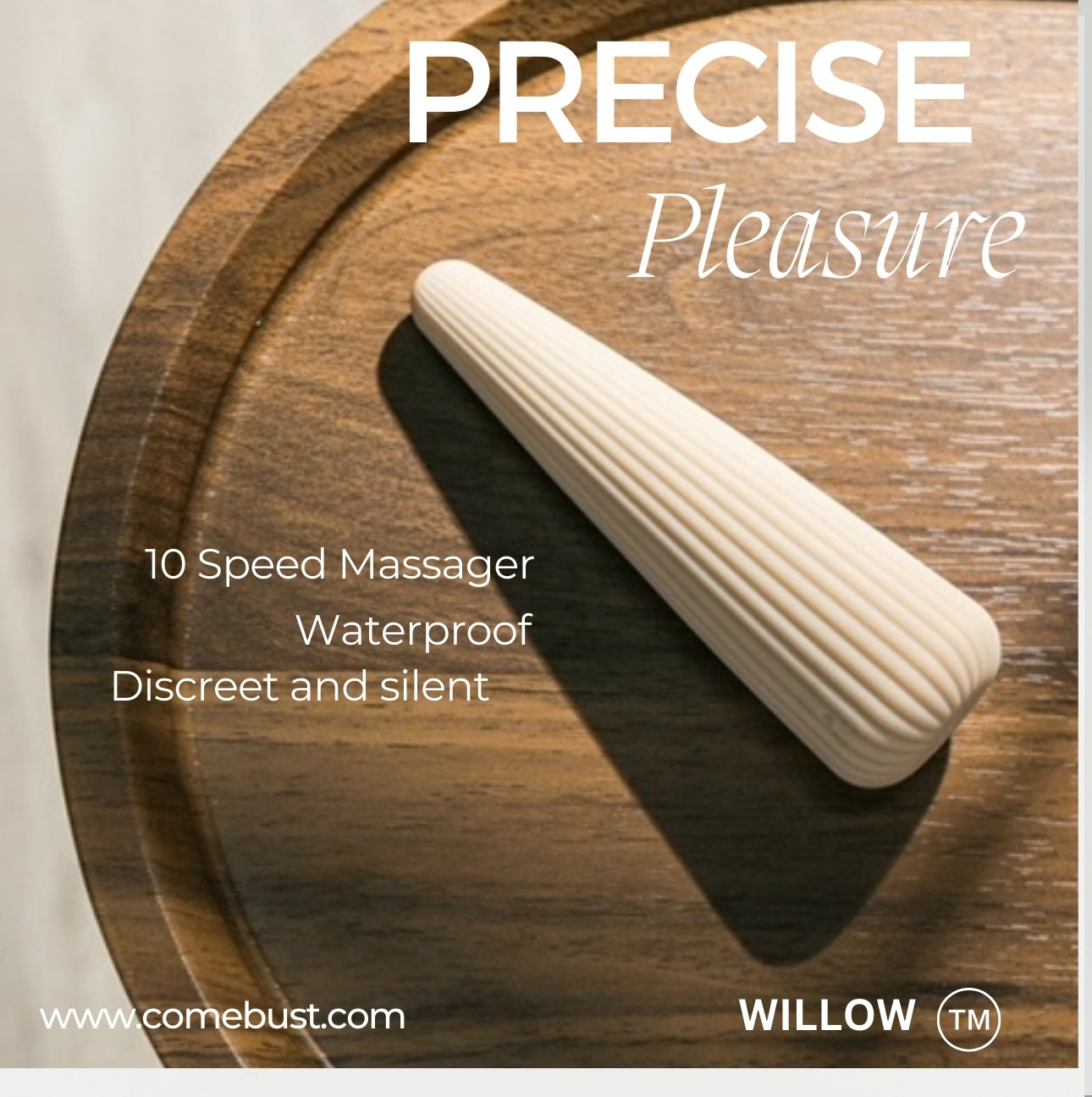 WILLOW Powerful 10 Speeds Vibrator Quiet Discreet Packaging Travel Bag included
